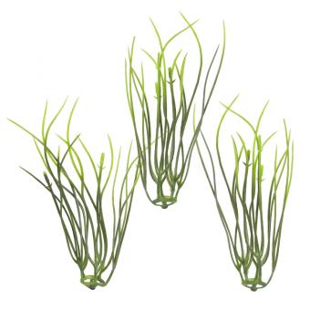 Mini-Gräser, ca. 9 cm 