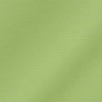 My Colors Cardstock, 30,6 x 30,6 cm, 216 g/m² Willow Green 